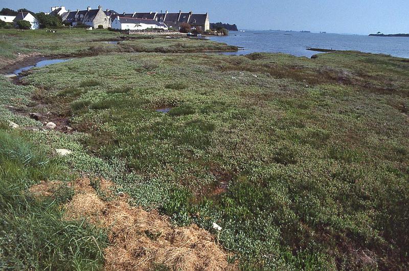 WT 2500 326-24 France 92.jpg